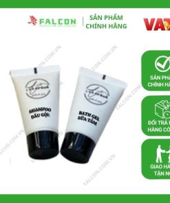 Bộ Amenities đen túi màng nhôm sữa tắm, dầu gội