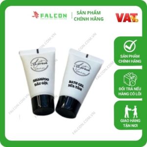 Bộ Amenities đen túi màng nhôm sữa tắm, dầu gội