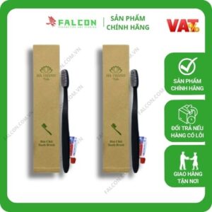 Bộ Ametinies Đen Túi Kraft Nâu bàn chải