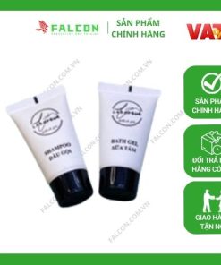 Bộ Amenities lúa mạch vải không dệt sữa tắm, dầu gội