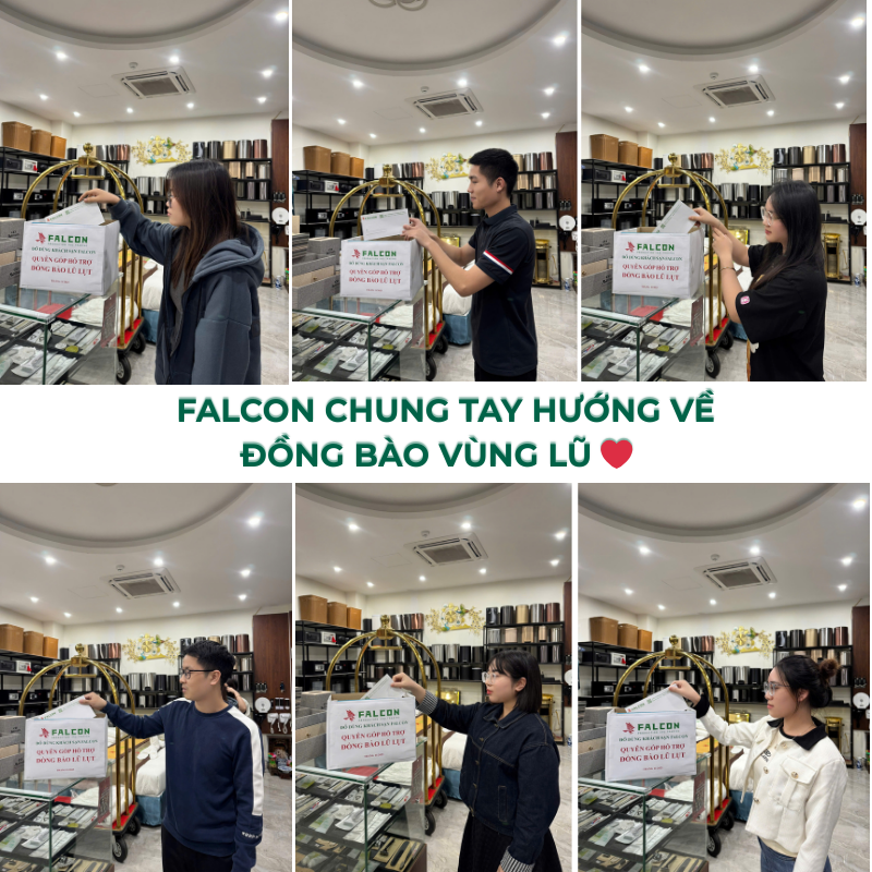 Tập thể nhân viên chi nhánh Falcon Hà Nội chung tay góp sức hỗ trợ vùng lũ.