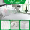 Chăn ga gối đệm khách sạn uy tín vải T300